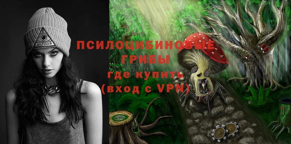 ГАЛЛЮЦИНОГЕННЫЕ ГРИБЫ Абинск