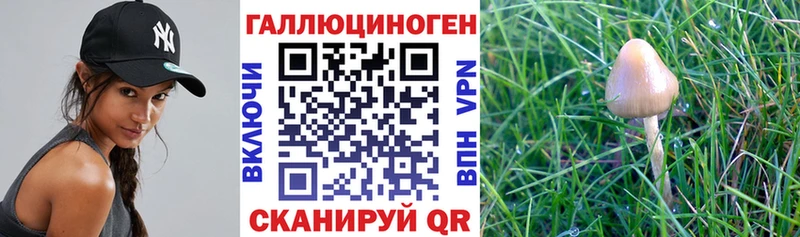 Галлюциногенные грибы мицелий где купить наркоту Котовск